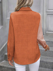 Collared Long Sleeves Button Down Work Shirt