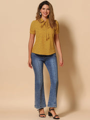 Retro Dots Bow Tie Peter Pan Collar Chiffon Blouse