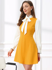 Patchwork Contrast Color Long Sleeve Tie Neck Mini Dress