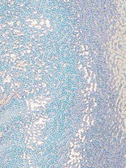 Sequin Midrise Solid Sparkle Cocktail Zipper Elastic Waist Shorts