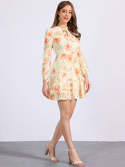 Floral V Neck Semi Sheer Layered Tiered Mini Dress