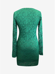 V Neck Lace Slim Fit Long Sleeve Bodycon Dress