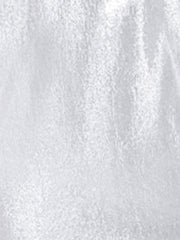 V Neck Ruffle Short Sleeve Shiny Metallic Blouse