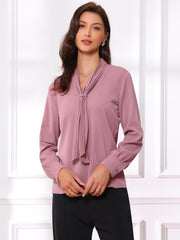 Long Sleeve Chiffon Pleated Tie Neck Office Blouse