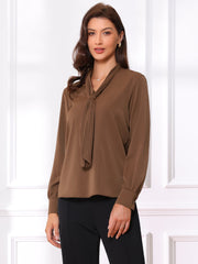 Long Sleeve Chiffon Pleated Tie Neck Office Blouse