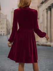 Velvet Smocked Neck Puff Long Sleeves A-Line Dress