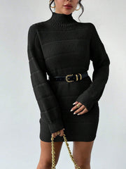 Turtleneck Long Sleeves Knitted Mini Sweater Dresss