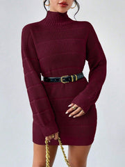 Turtleneck Long Sleeves Knitted Mini Sweater Dresss