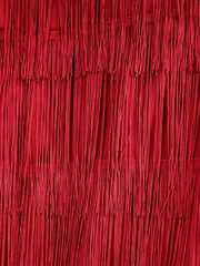 Tasseled Fringed Illusion Neck Slit Midi Cocktail Dress