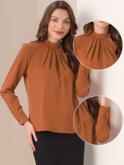Stand Collar Chiffon Long Sleeve Business Casual Work Blouse