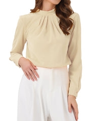 Stand Collar Chiffon Long Sleeve Business Casual Work Blouse