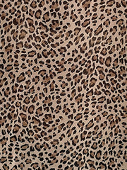 Ruffled V Neck Leopard Print Sleeveless Blouse