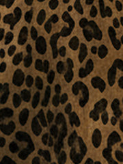 Leopard Print Button Down Long Sleeve Shirt