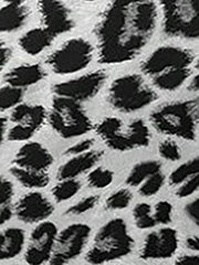 Leopard Print Casual A-Line Midi Skirt