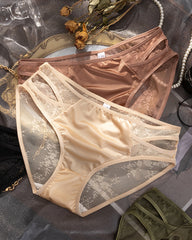 Translucent Lace Hollow Briefs