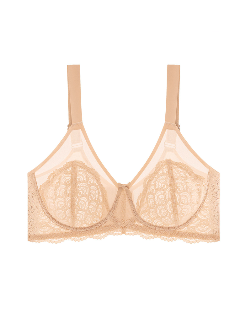 Sheer Lace Mesh Bra