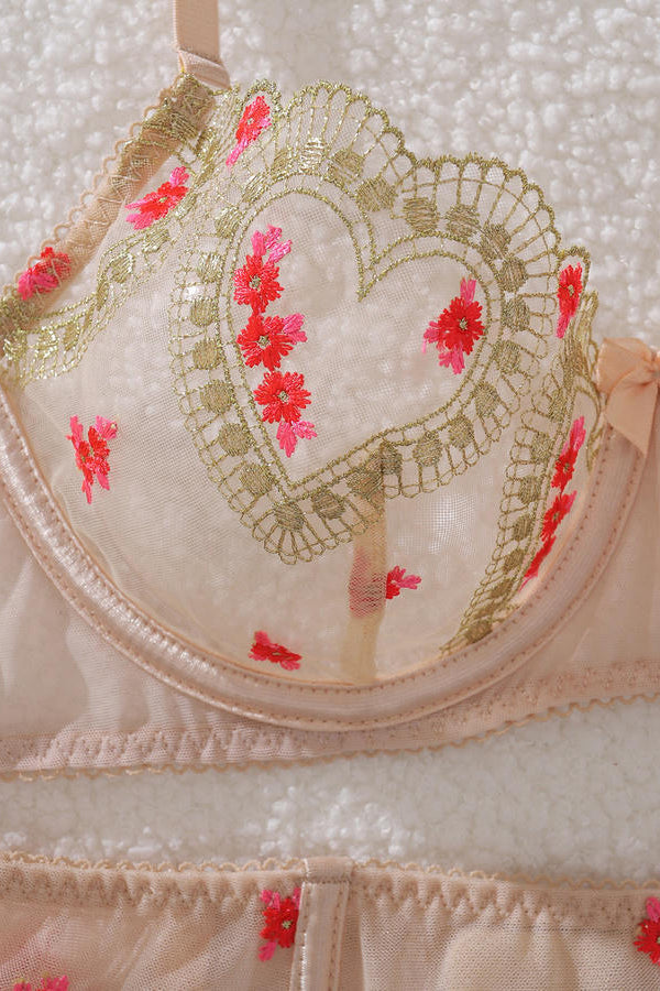 Sexy Sheer Embroidered Bra Set