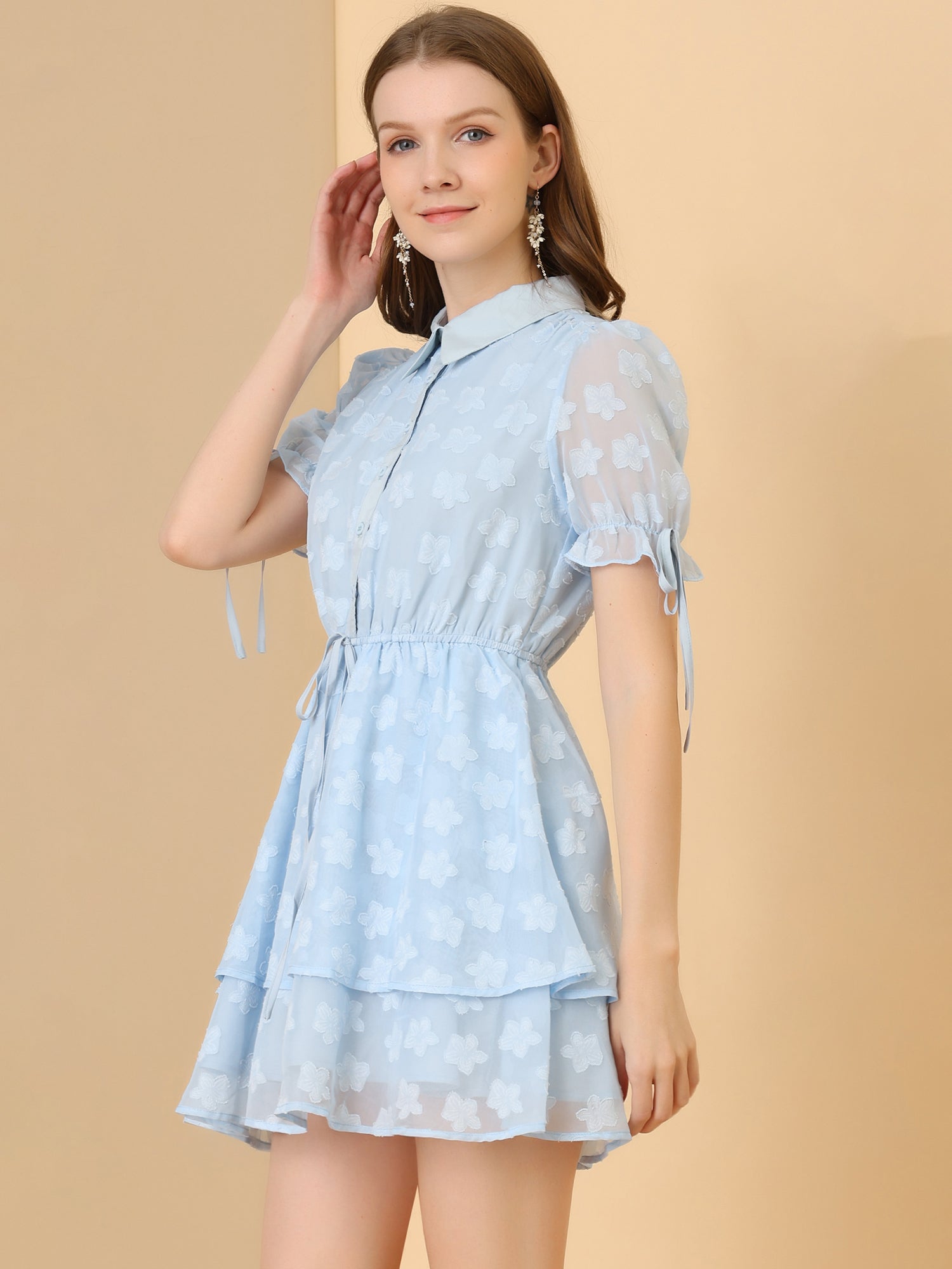 Peter Pan Collar Floral Drawstring Chiffon Layered Dress