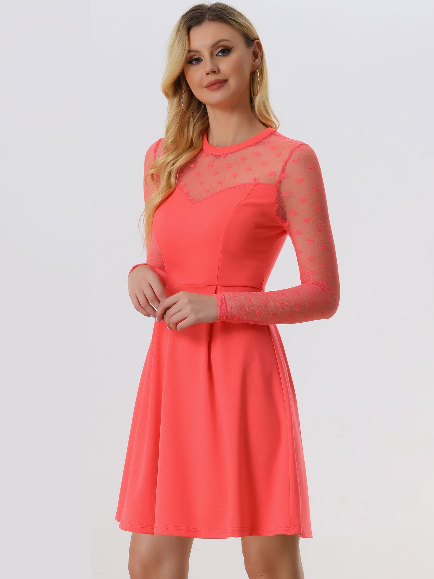 Party Heart Mesh Sheer Sleeve Crew Neck Skater Short Dress