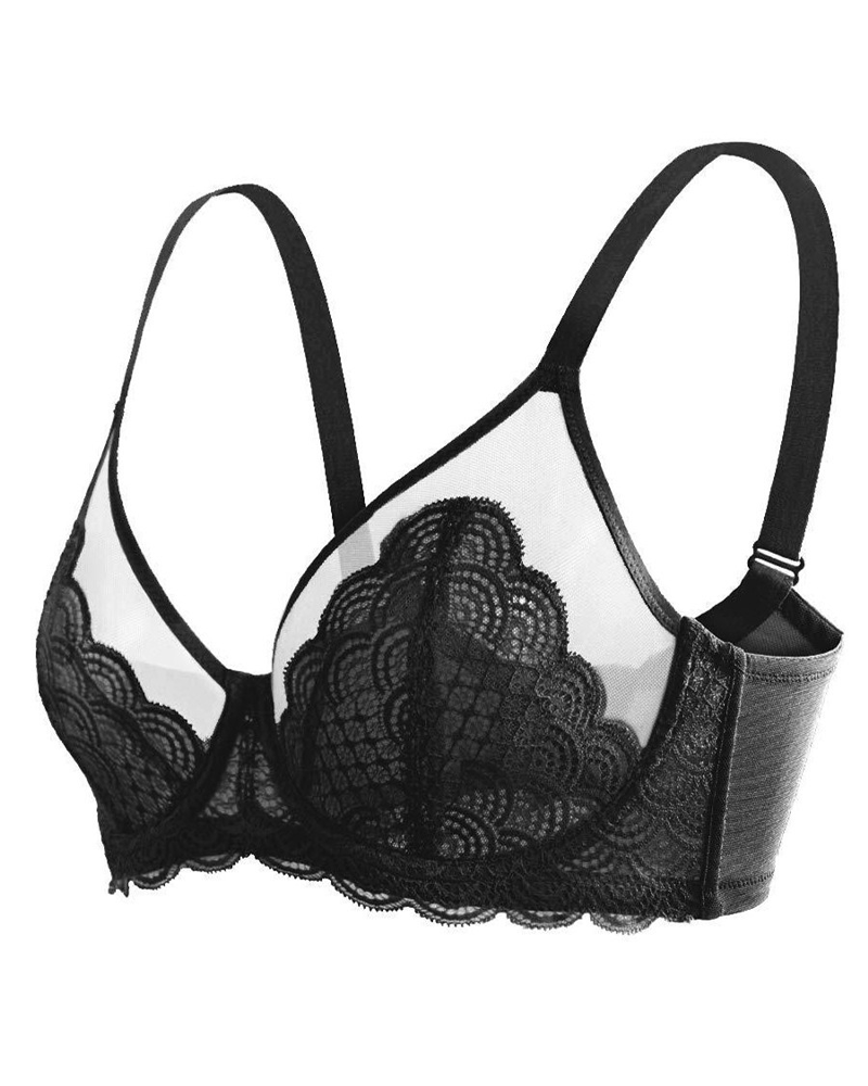Sheer Lace Mesh Bra