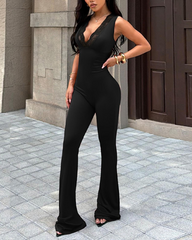 V-Neck Lace Trim Sleeveless Fitted Flare Jumpsuit