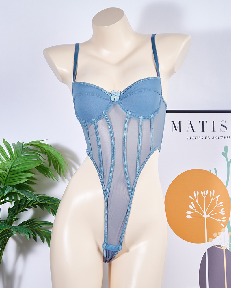 Mesh-Paneled Bodysuit With Underwire