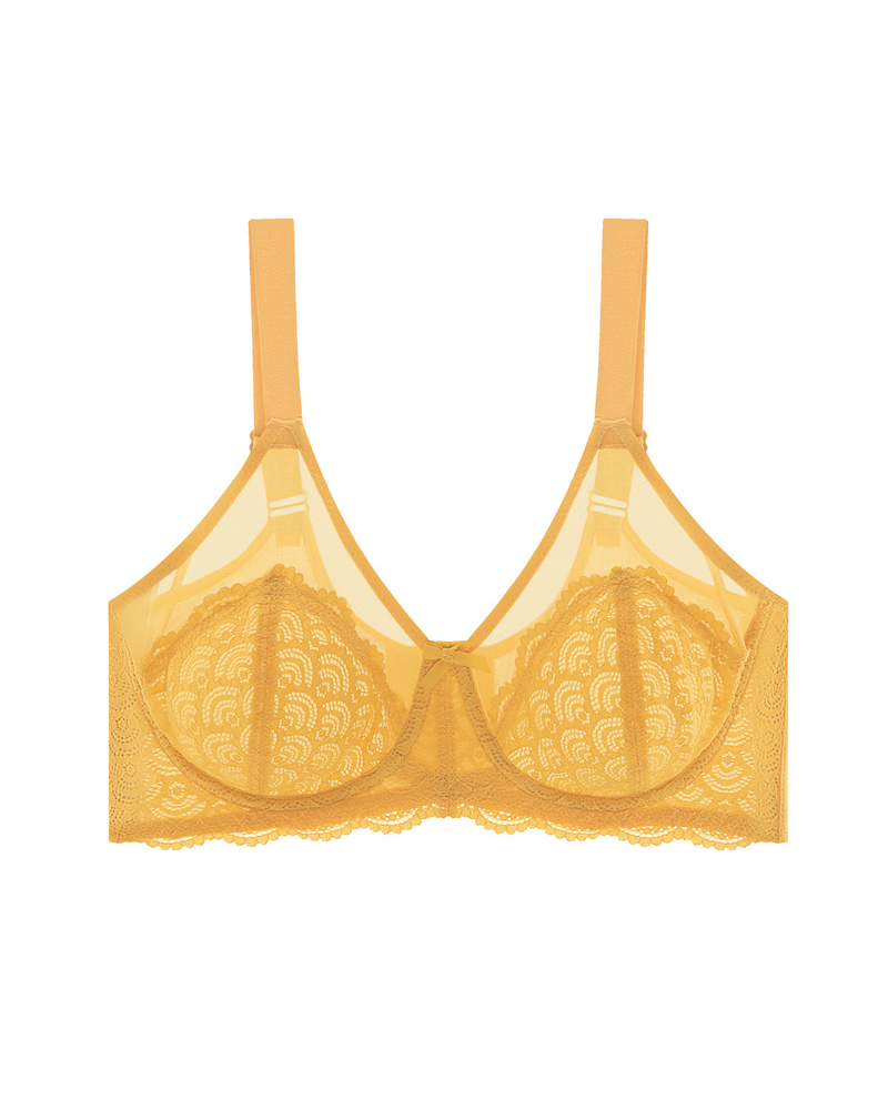 Sheer Lace Mesh Bra