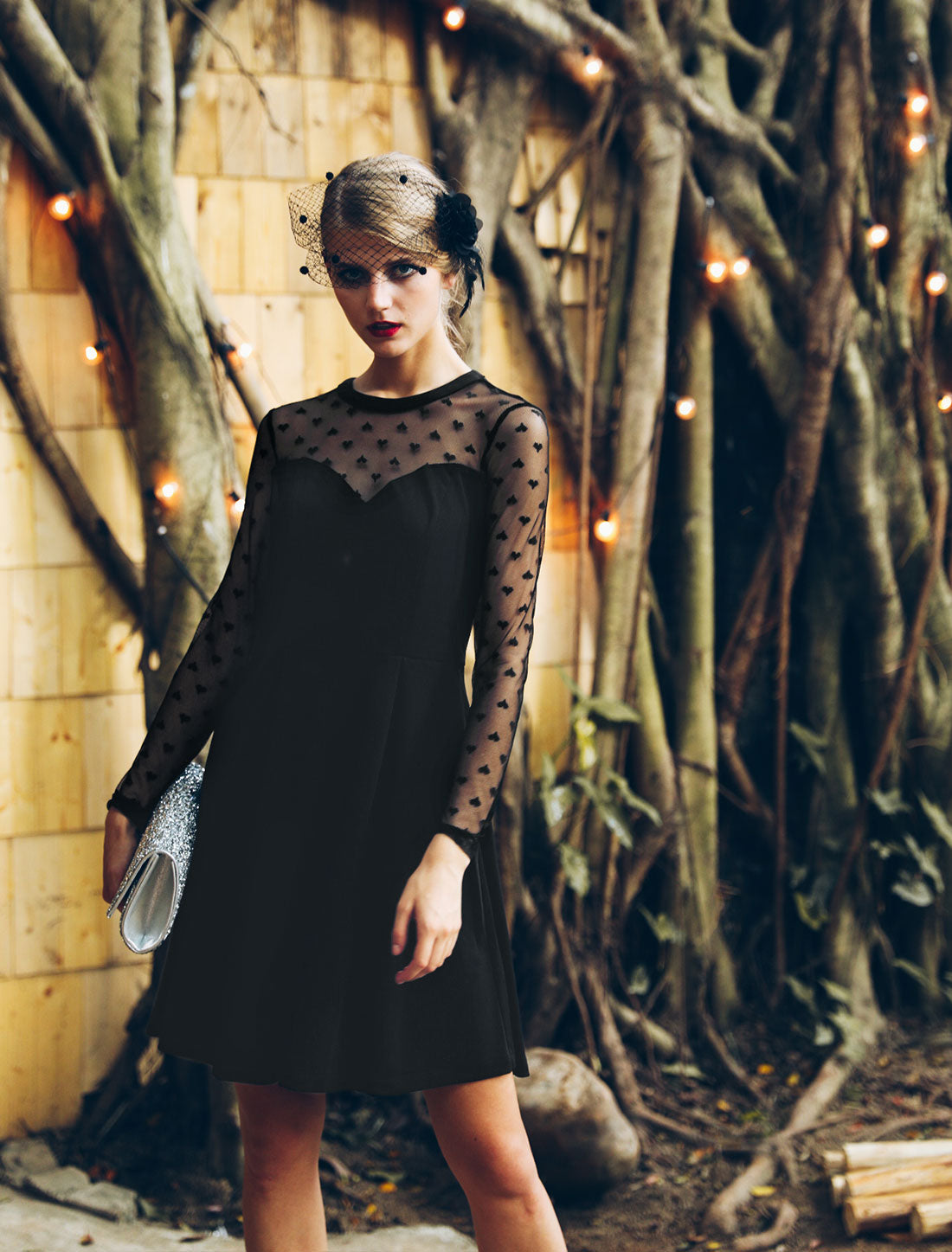 Heart Mesh Sheer Long Sleeve Gothic Cocktail Skater Mini Dress