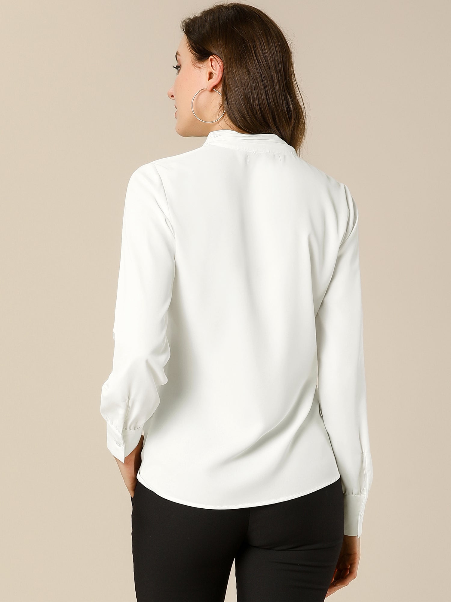 Long Sleeve Chiffon Pleated Tie Neck Office Blouse