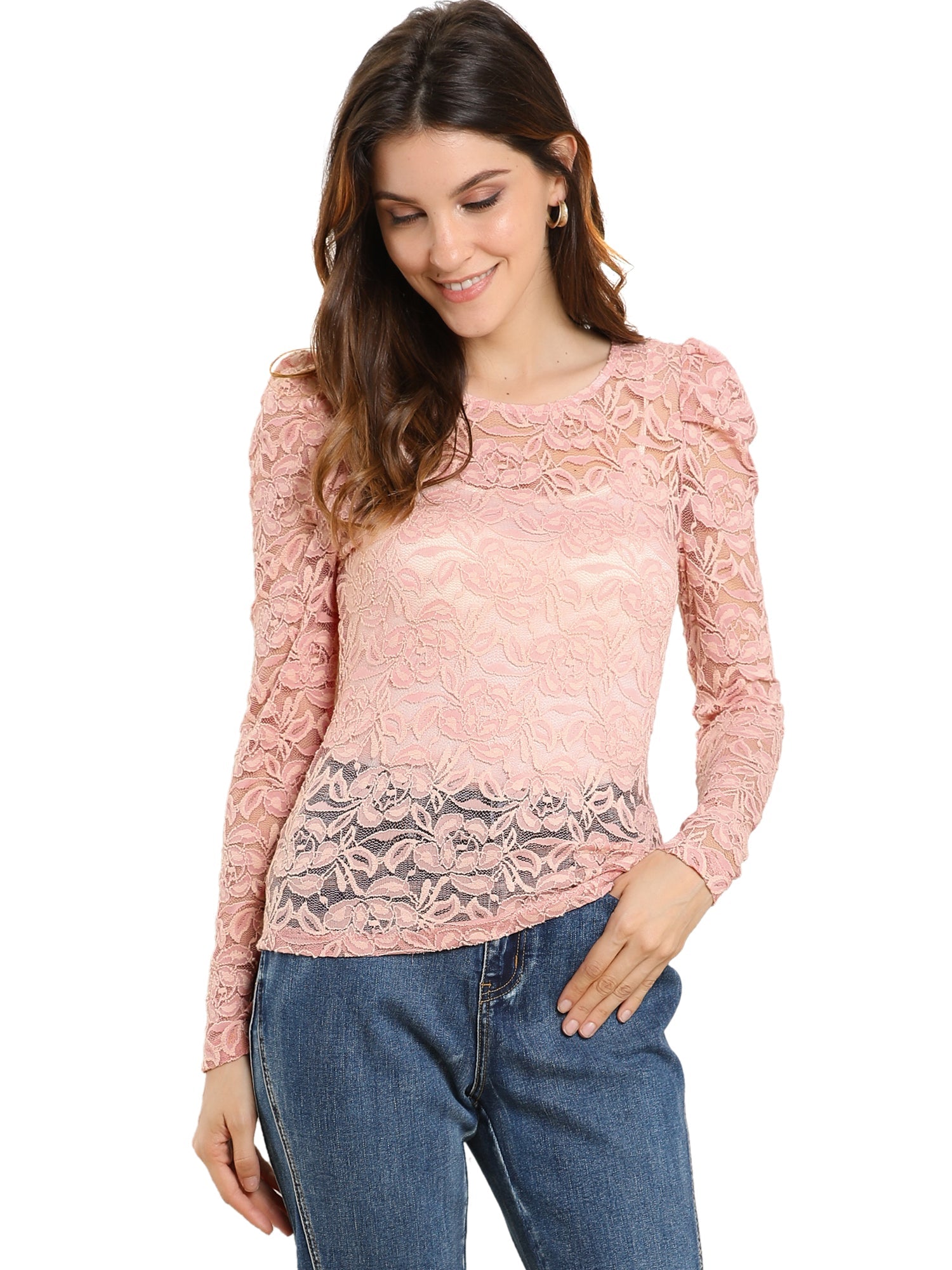 Retro Lace Semi Sheer Puff Long Sleeve Embroidery Blouse