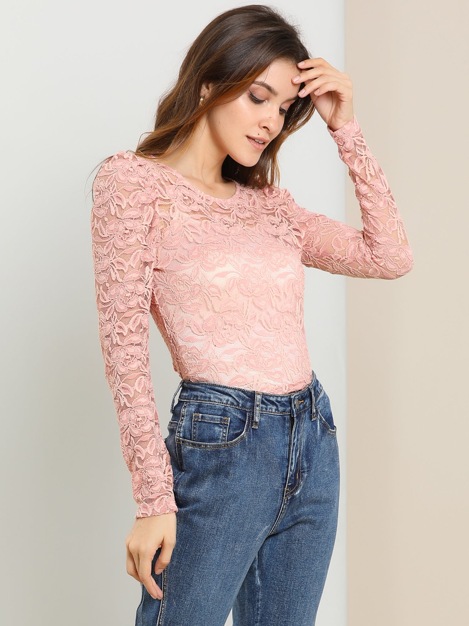 Retro Lace Semi Sheer Puff Long Sleeve Embroidery Blouse