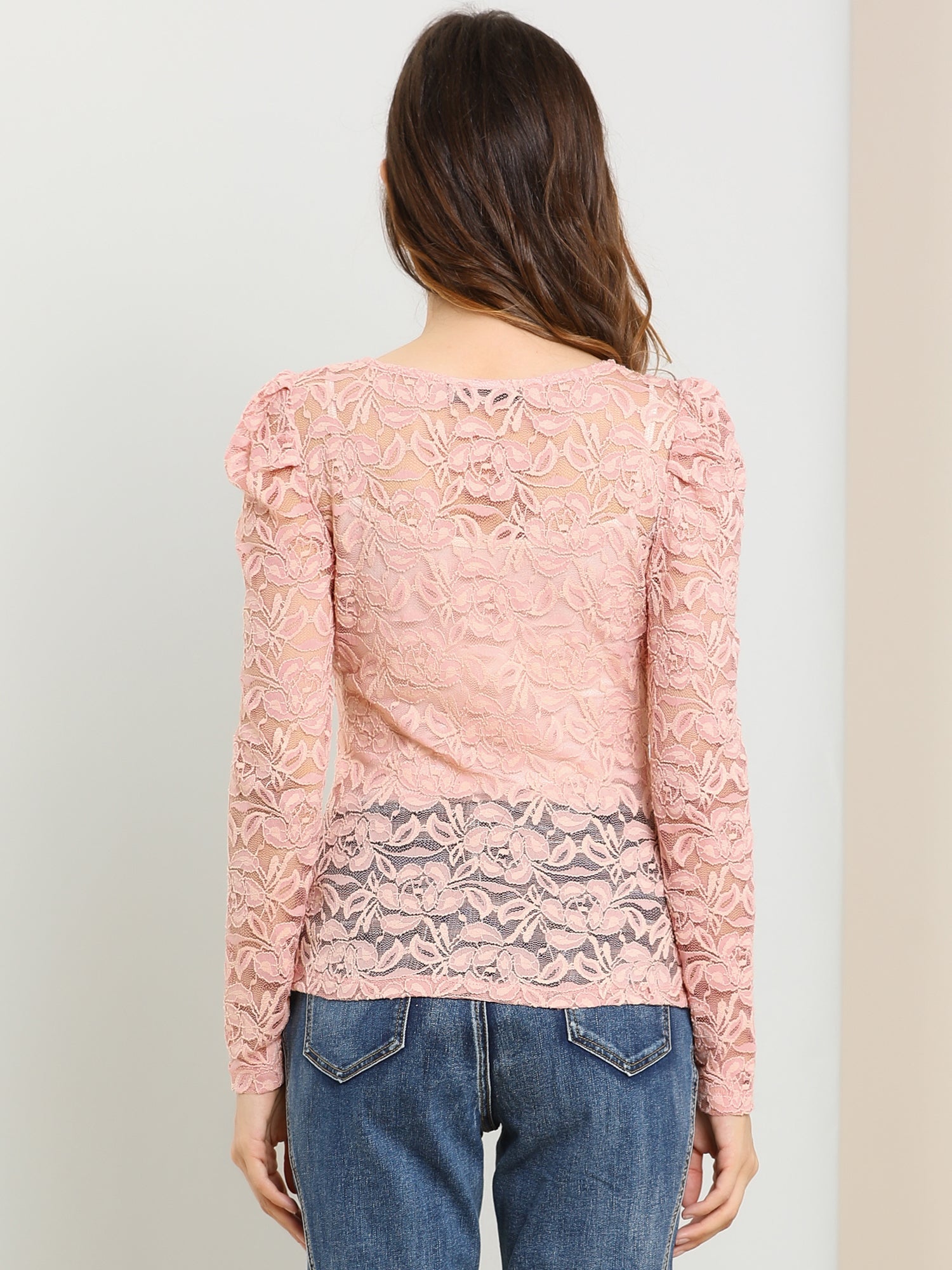 Retro Lace Semi Sheer Puff Long Sleeve Embroidery Blouse