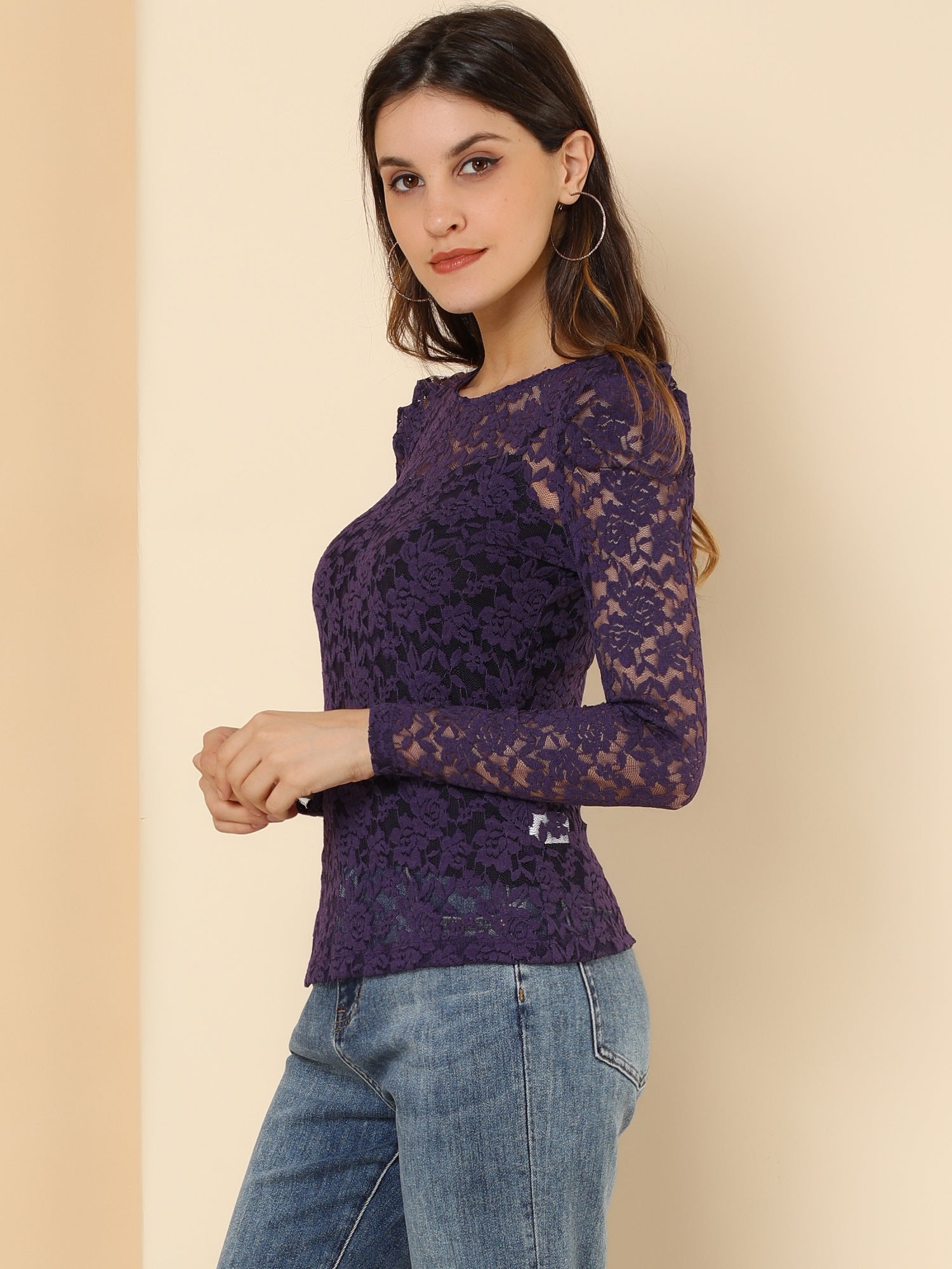 Retro Semi Sheer Puff Long Sleeve Embroidery Lace Blouse