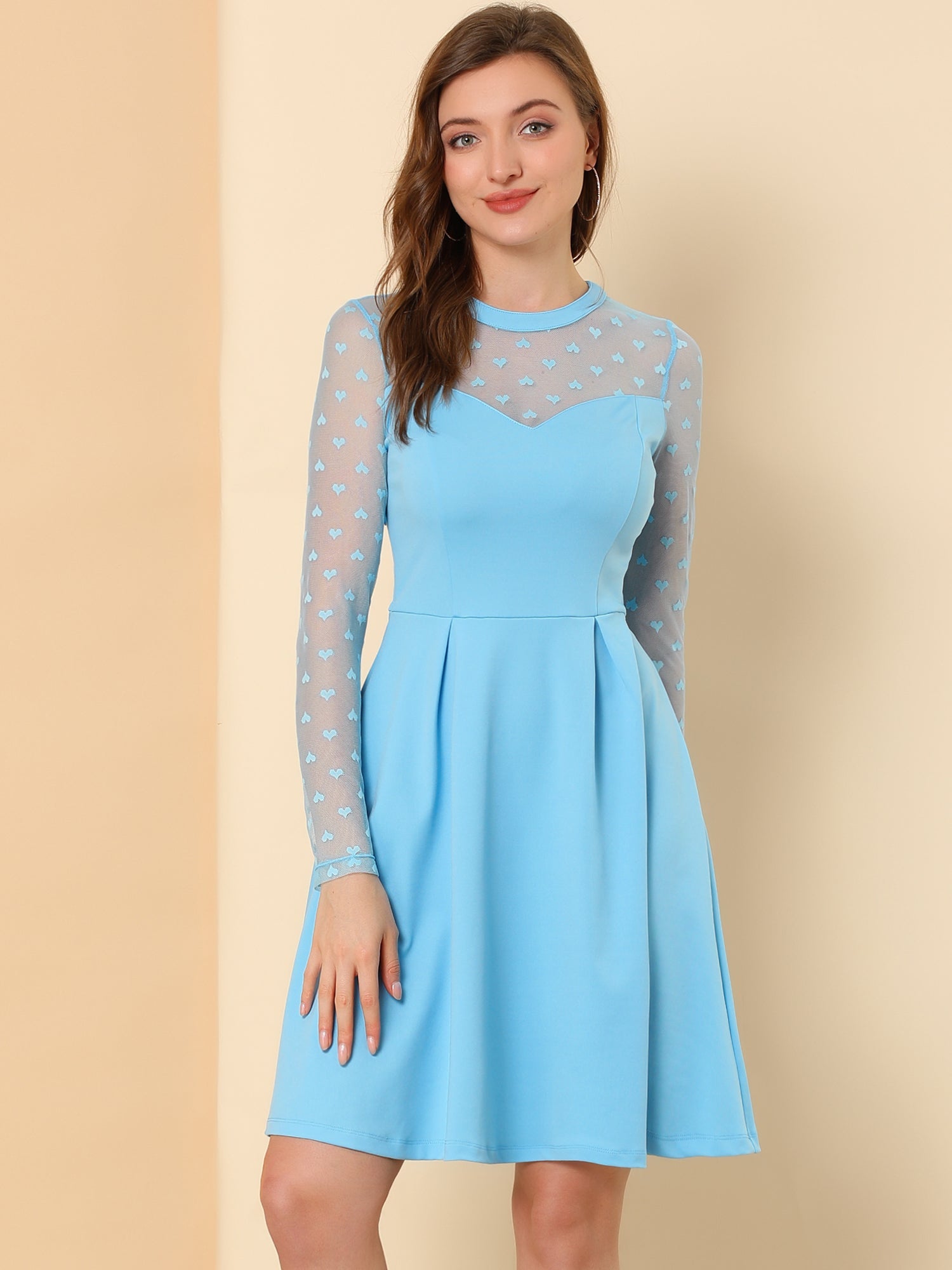 Heart Mesh Sheer Long Sleeve Gothic Cocktail Skater Mini Dress