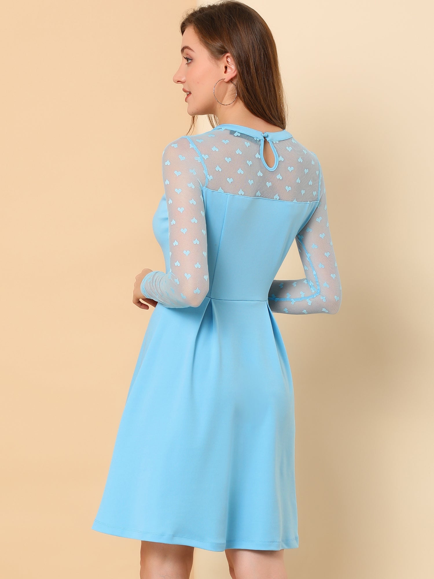 Heart Mesh Sheer Long Sleeve Gothic Cocktail Skater Mini Dress
