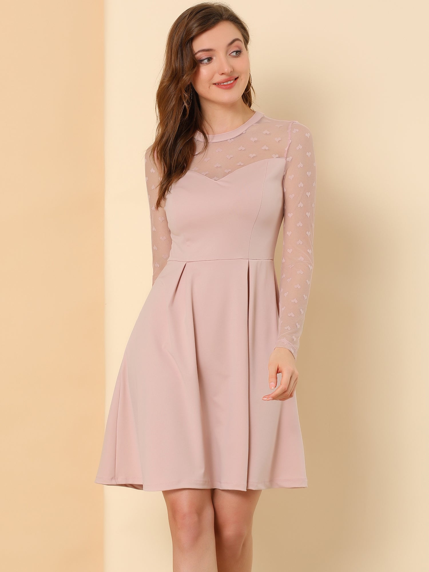 Heart Mesh Sheer Long Sleeve Gothic Cocktail Skater Mini Dress