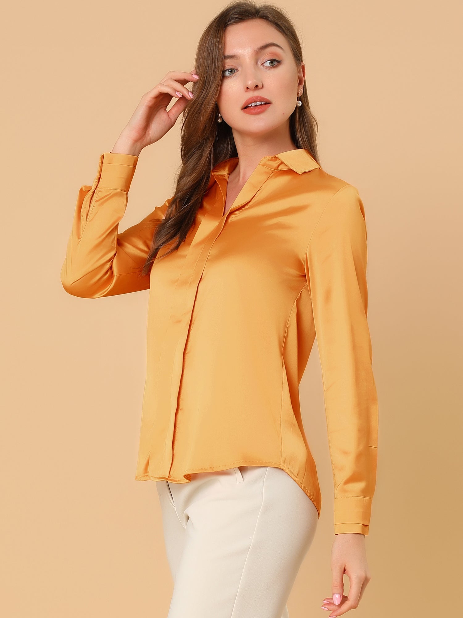 Satin V Neck Long Sleeve Silky Office Work Solid Shirt