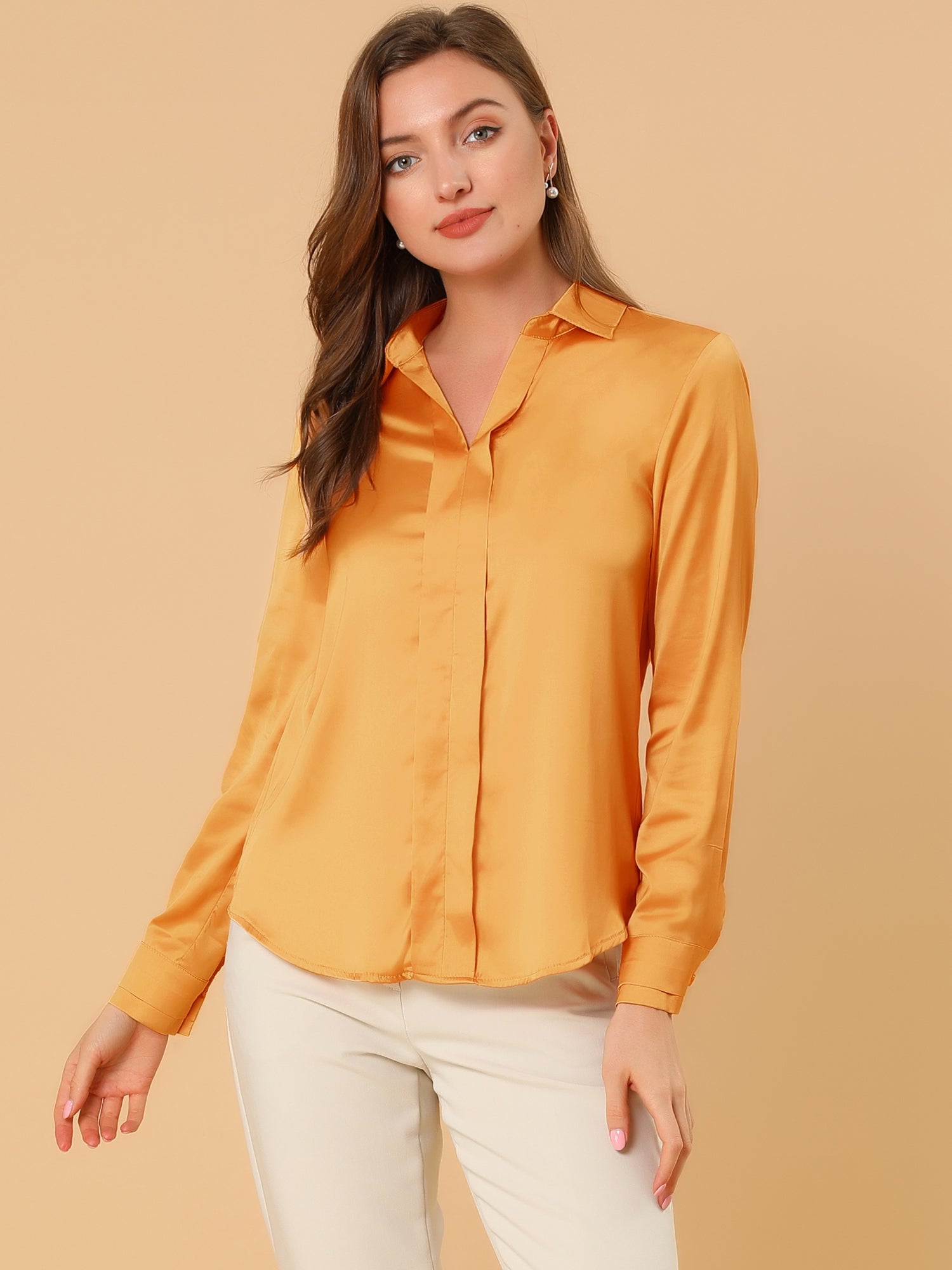 Satin V Neck Long Sleeve Silky Office Work Solid Shirt