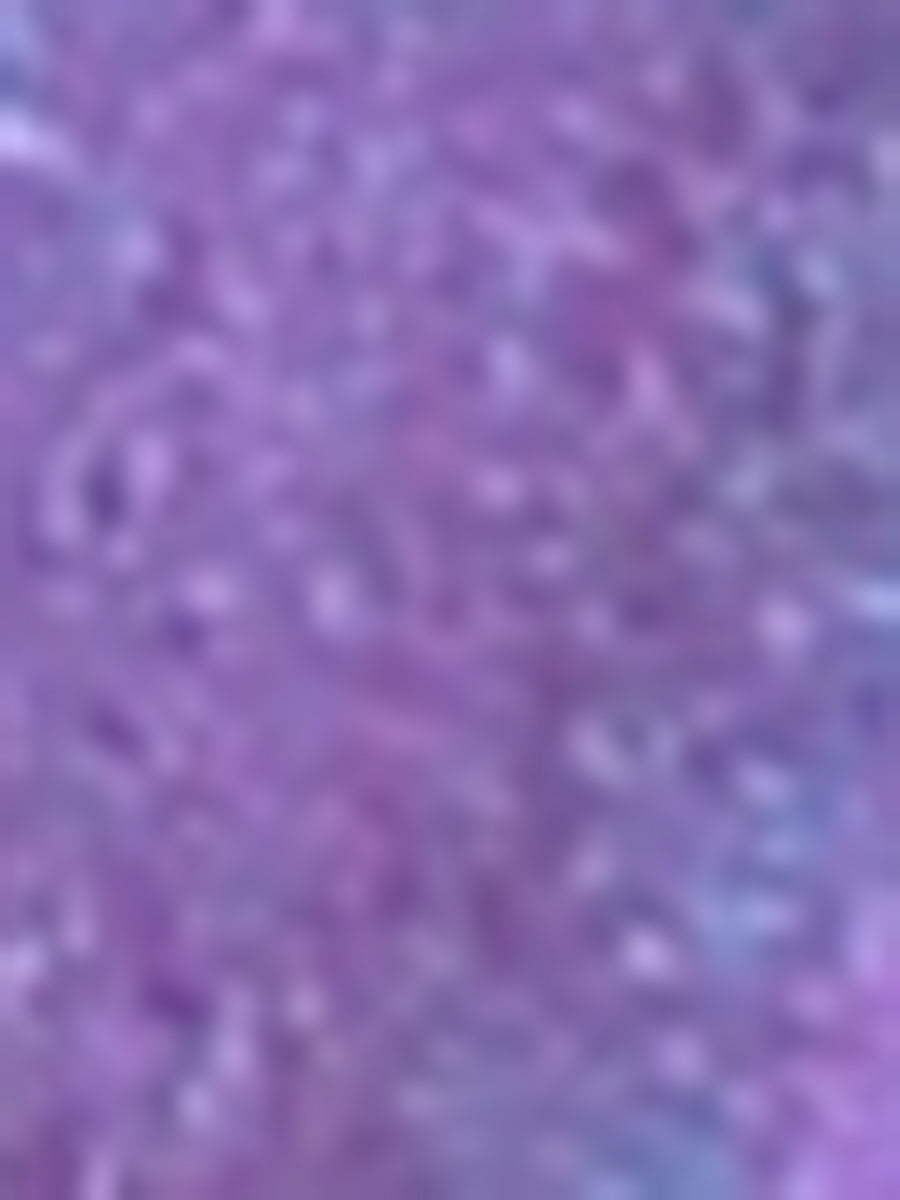 Holographic Long Sleeve Lightweight Zipper Metallic Jacket