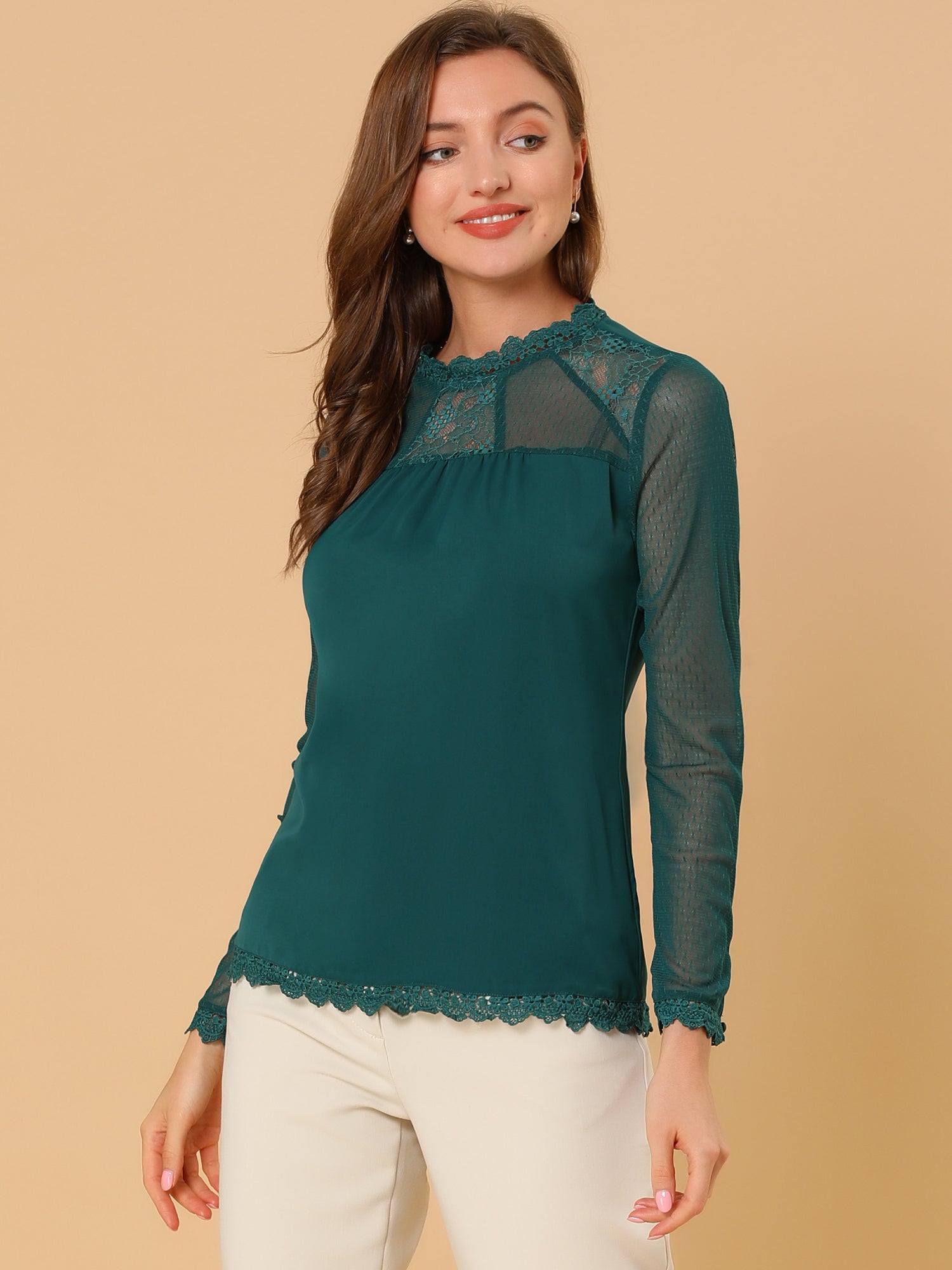Lace Mesh Long Sleeve Top Round Neck Casual Elegant Blouse