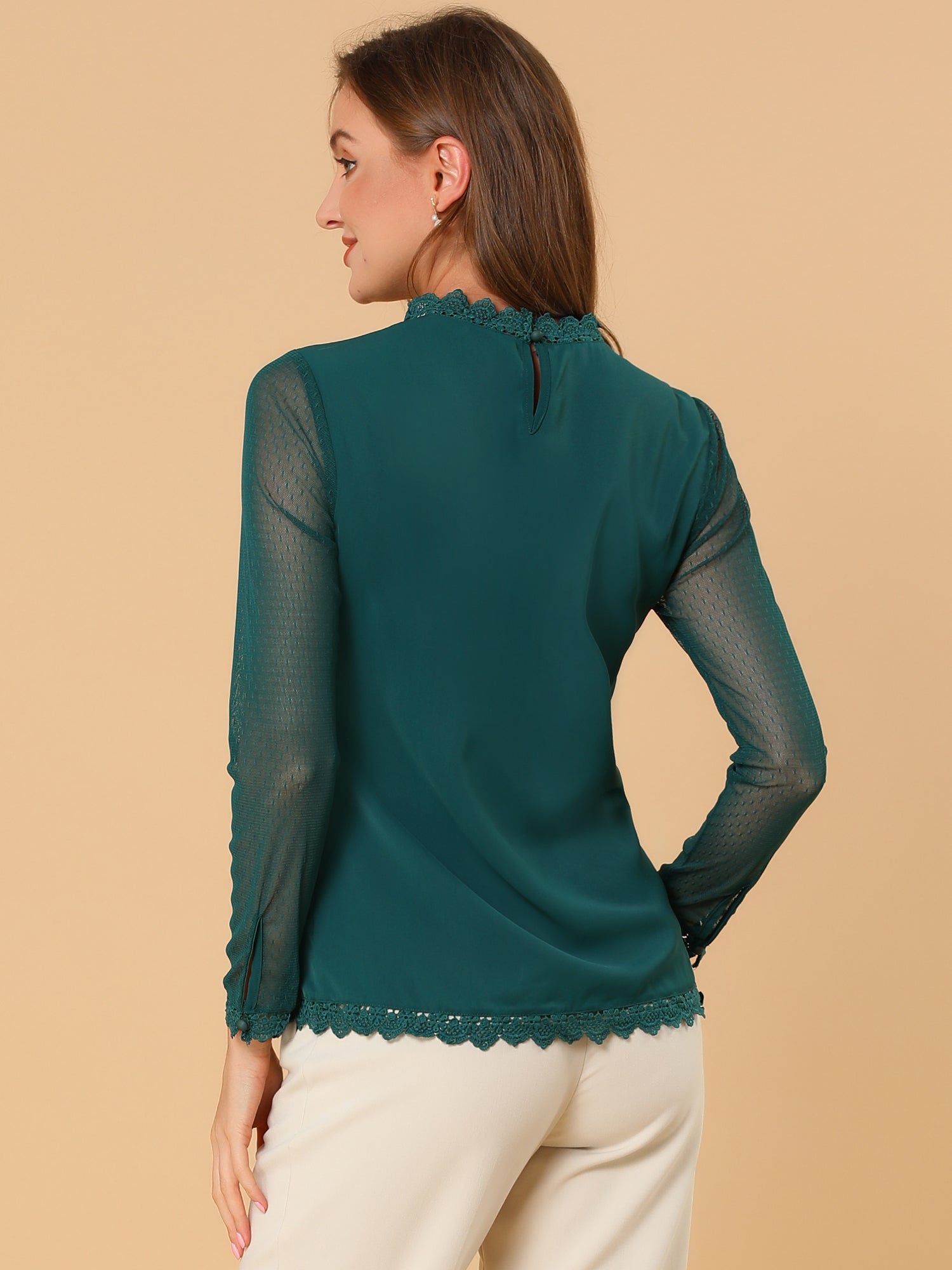 Lace Mesh Long Sleeve Top Round Neck Casual Elegant Blouse