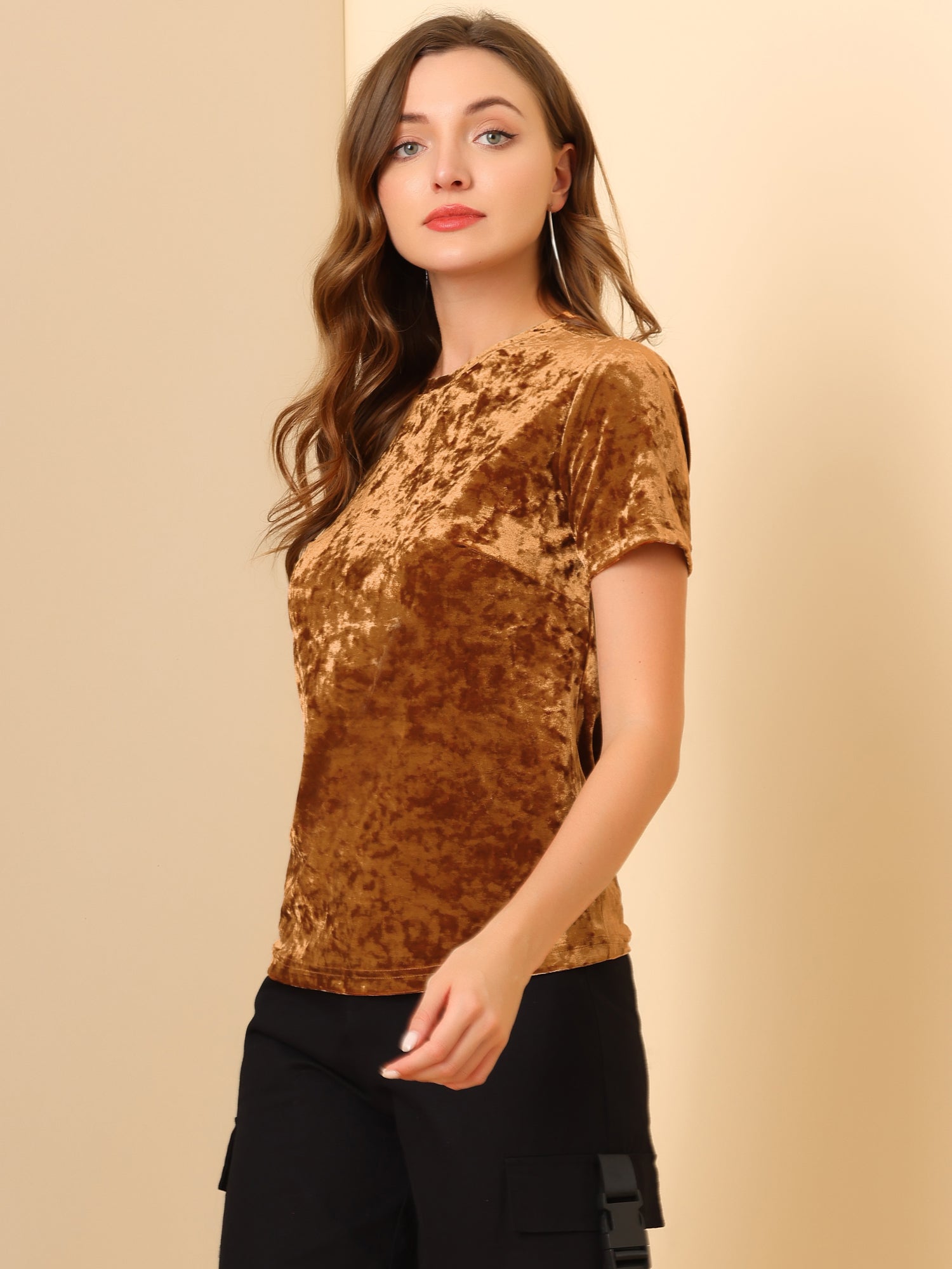 Velvet Crew Neck Short Sleeve Casual T-Shirt Top