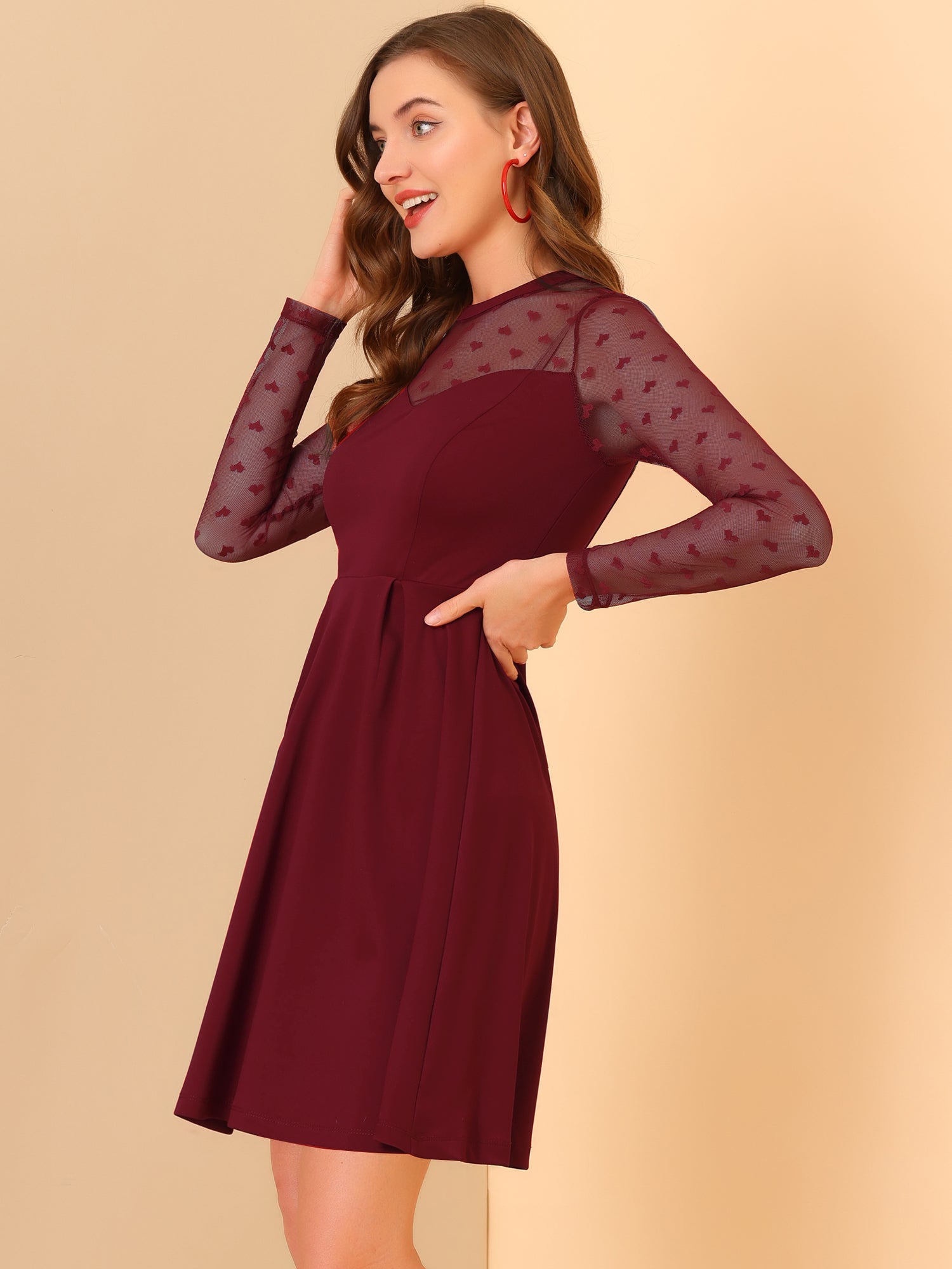 Heart Mesh Sheer Long Sleeve Gothic Cocktail Skater Mini Dress