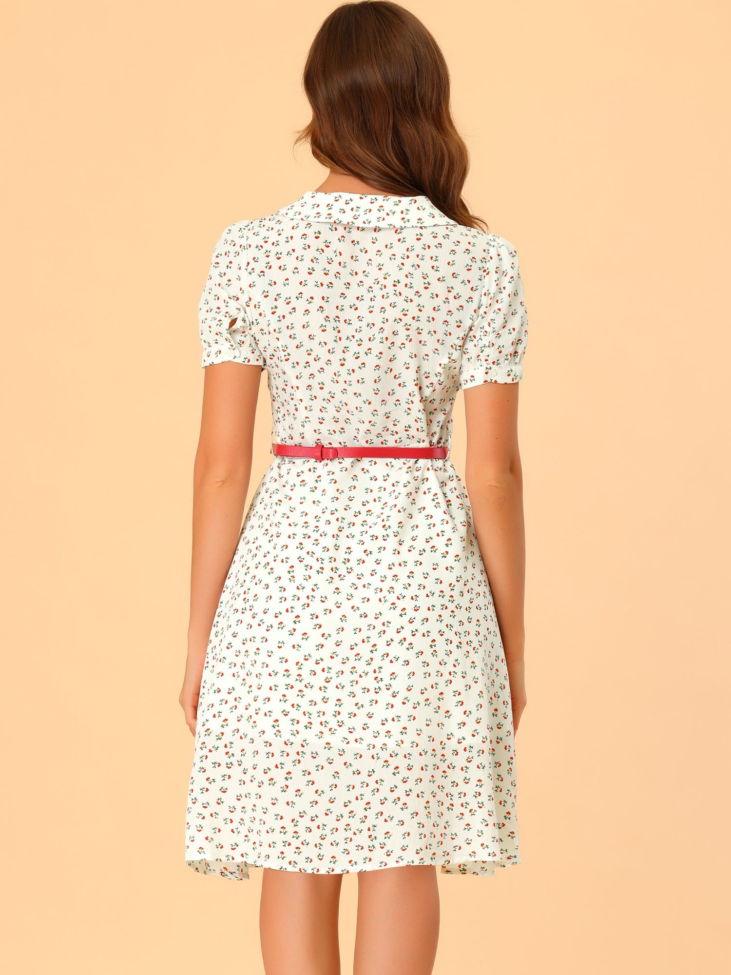 Peter Pan Collar Tie Neck Short Sleeve A-Line Belted Floral Dress