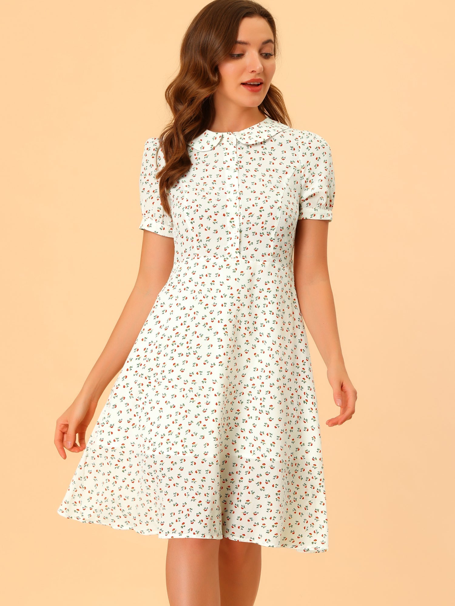 Peter Pan Collar Tie Neck Short Sleeve A-Line Belted Floral Dress