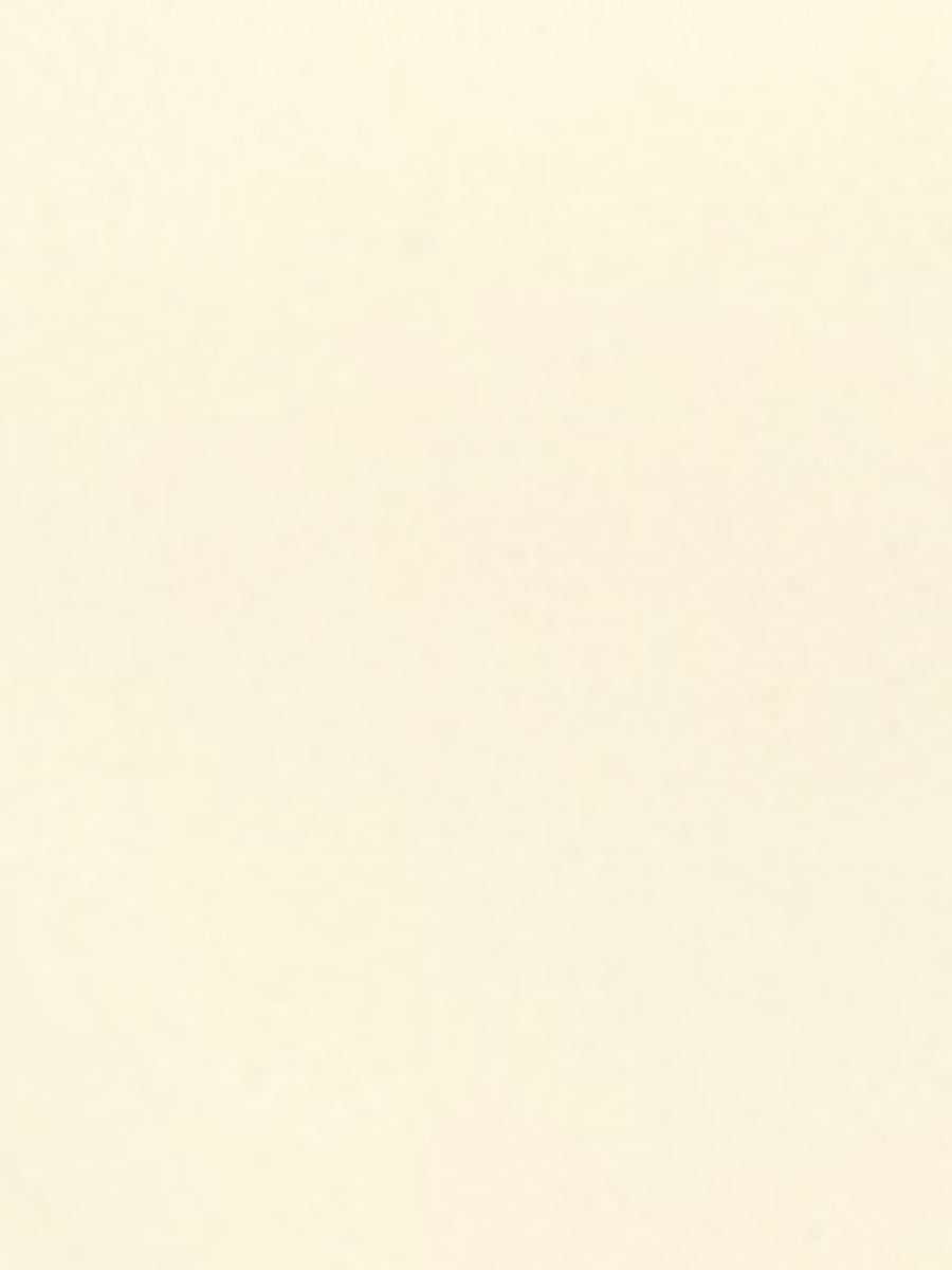 Sweet Ruffle Peter Pan Collar Long Sleeve Button Up Shirt