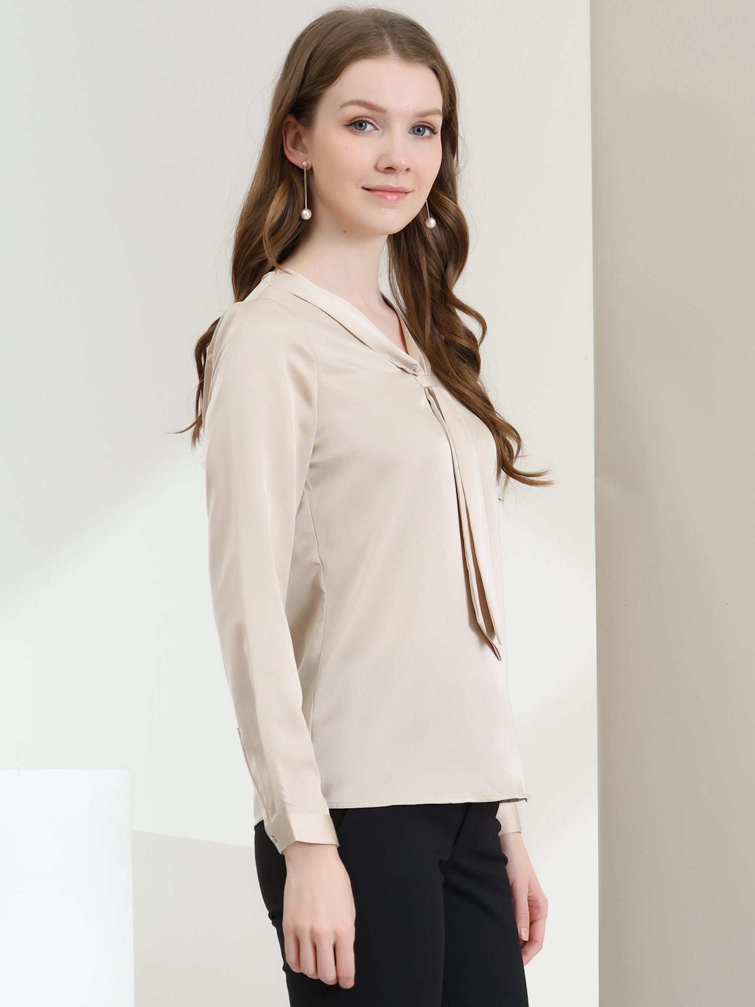 Satin Tie Neck Long Sleeve Solid Color Elegant Office Work Shirt Top
