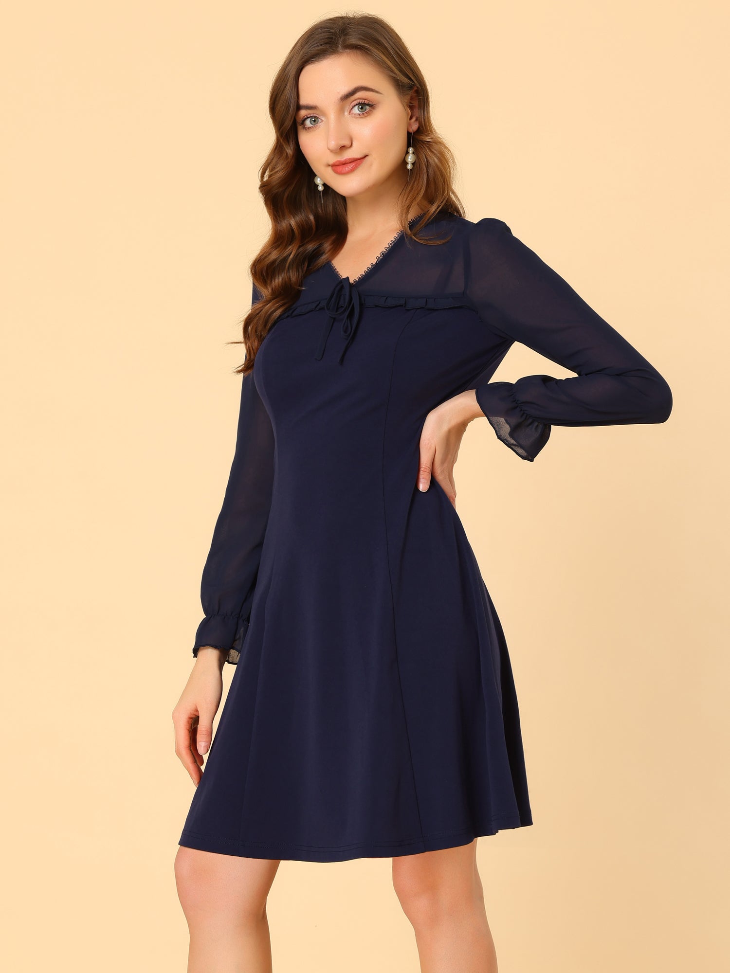 Ruffle V Neck Mesh Sheer Panel Long Sleeve Chiffon Mini Dress
