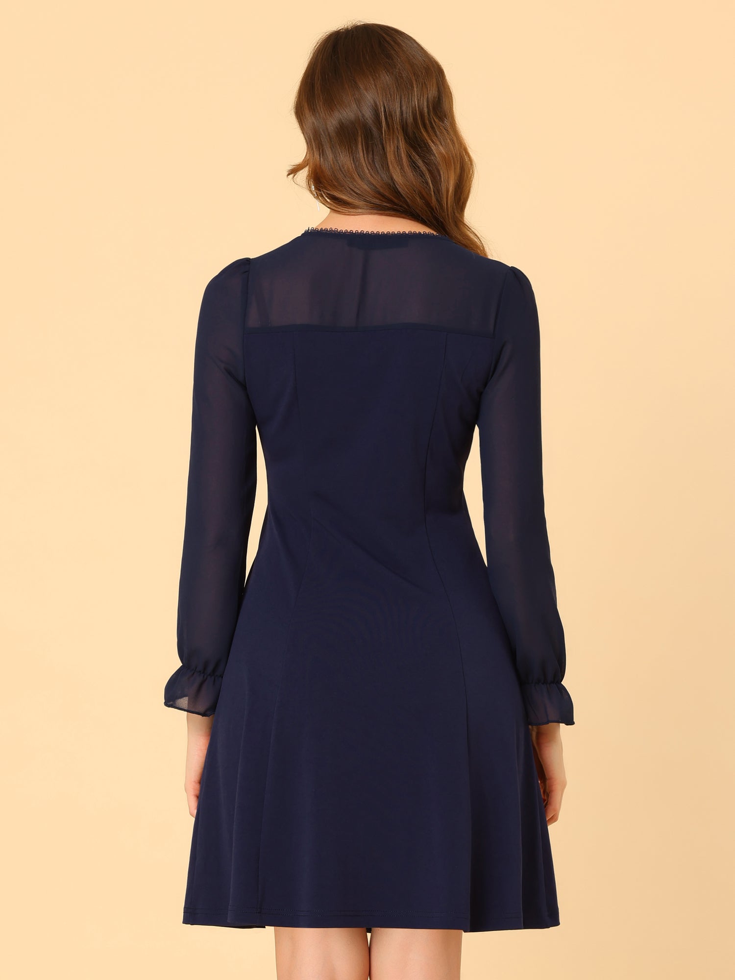 Ruffle V Neck Mesh Sheer Panel Long Sleeve Chiffon Mini Dress