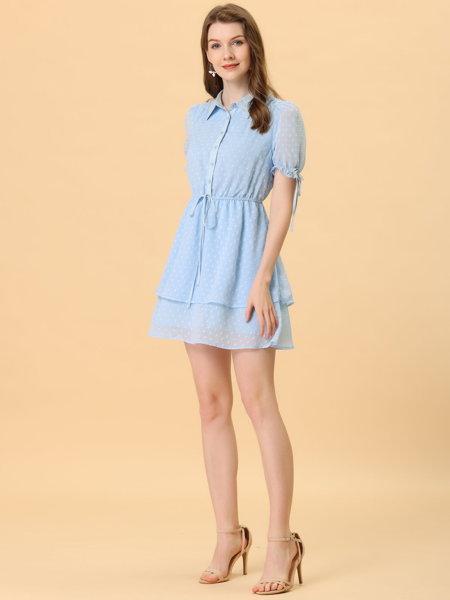 Peter Pan Collar Floral Drawstring Chiffon Layered Dress